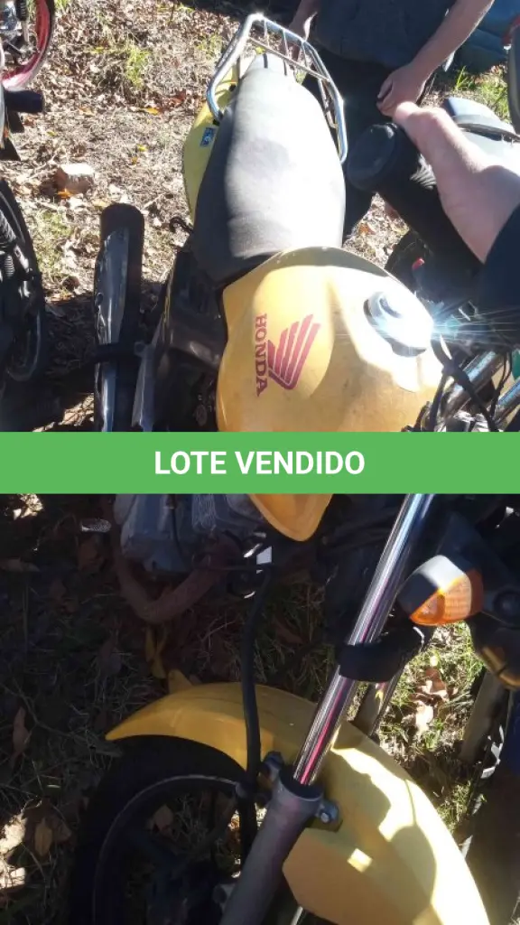 LOTE 0321