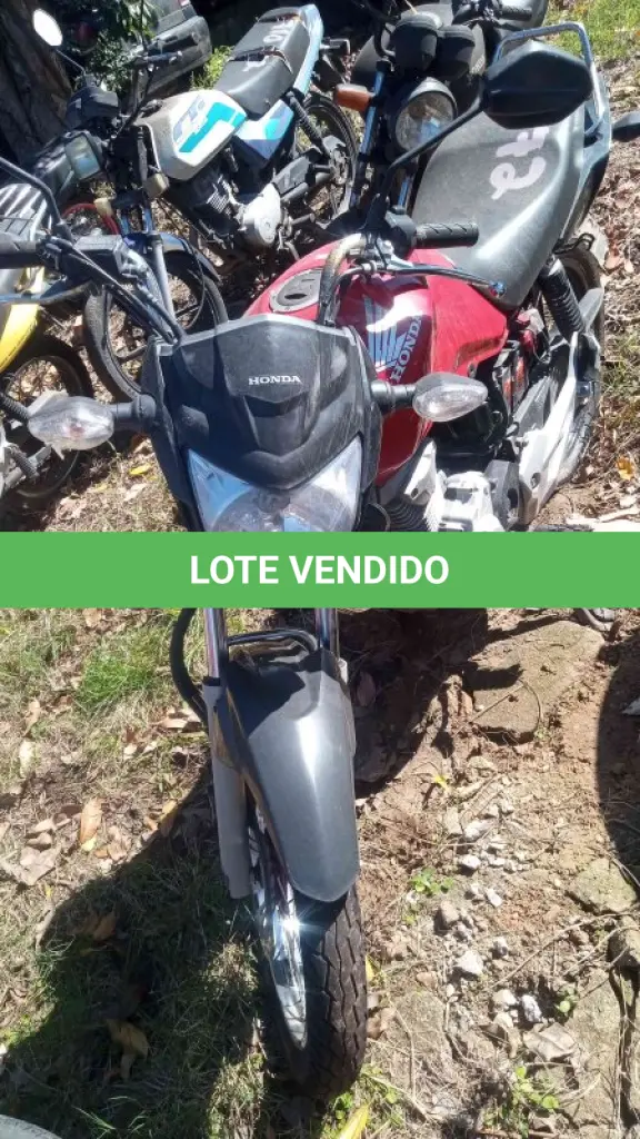 LOTE 0339