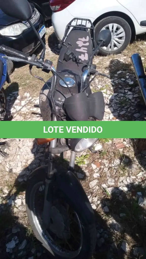 LOTE 0335