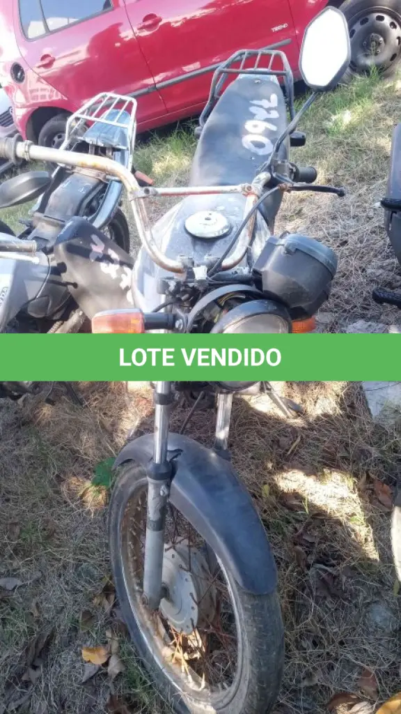 LOTE 0337