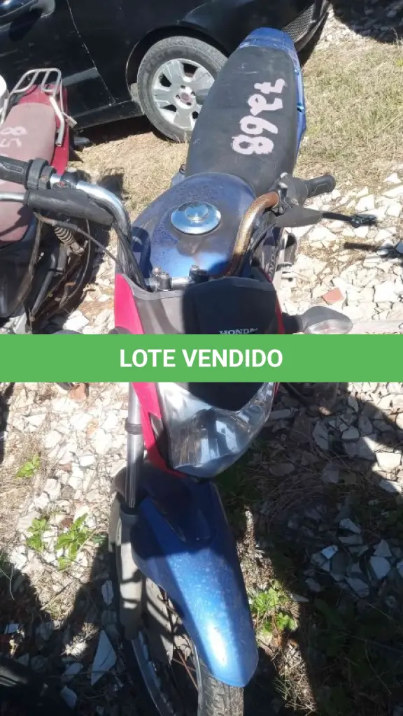 LOTE 0338
