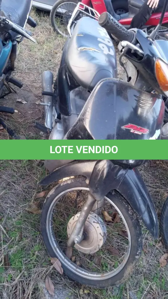 LOTE 0340