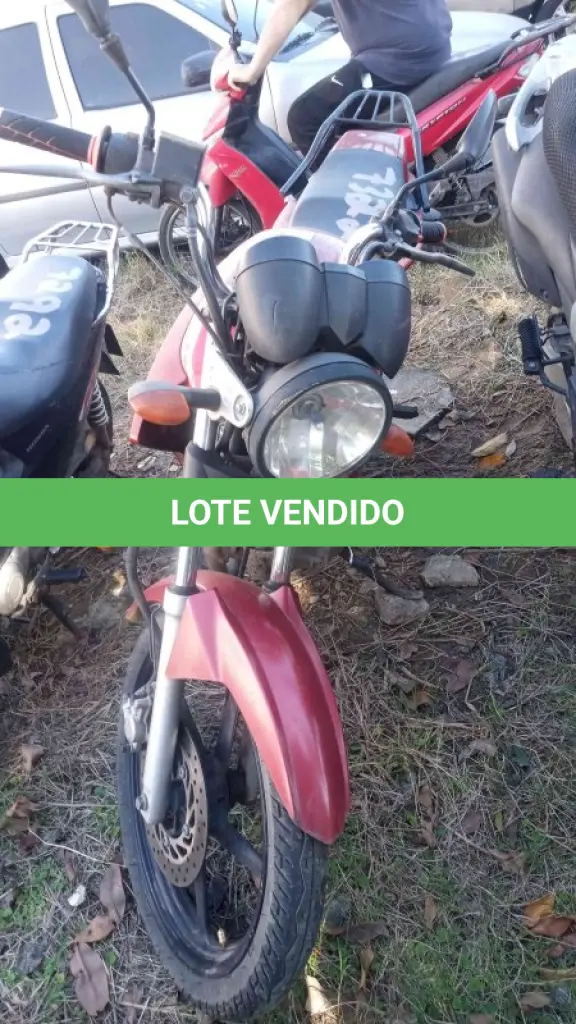 LOTE 0343