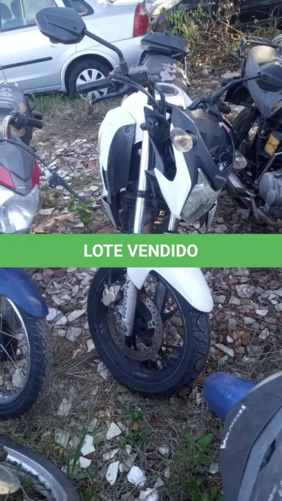 LOTE 0333