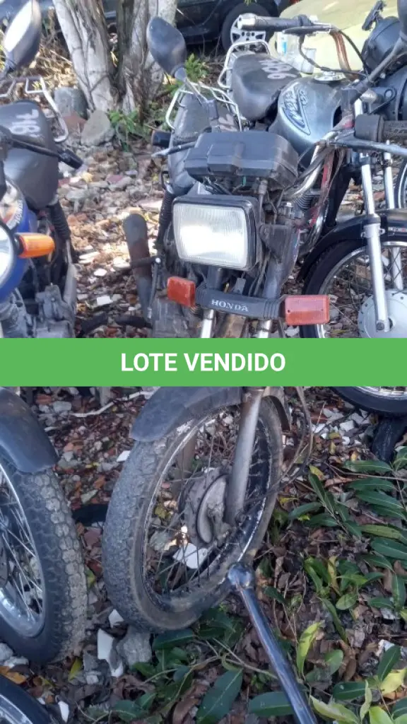 LOTE 0341