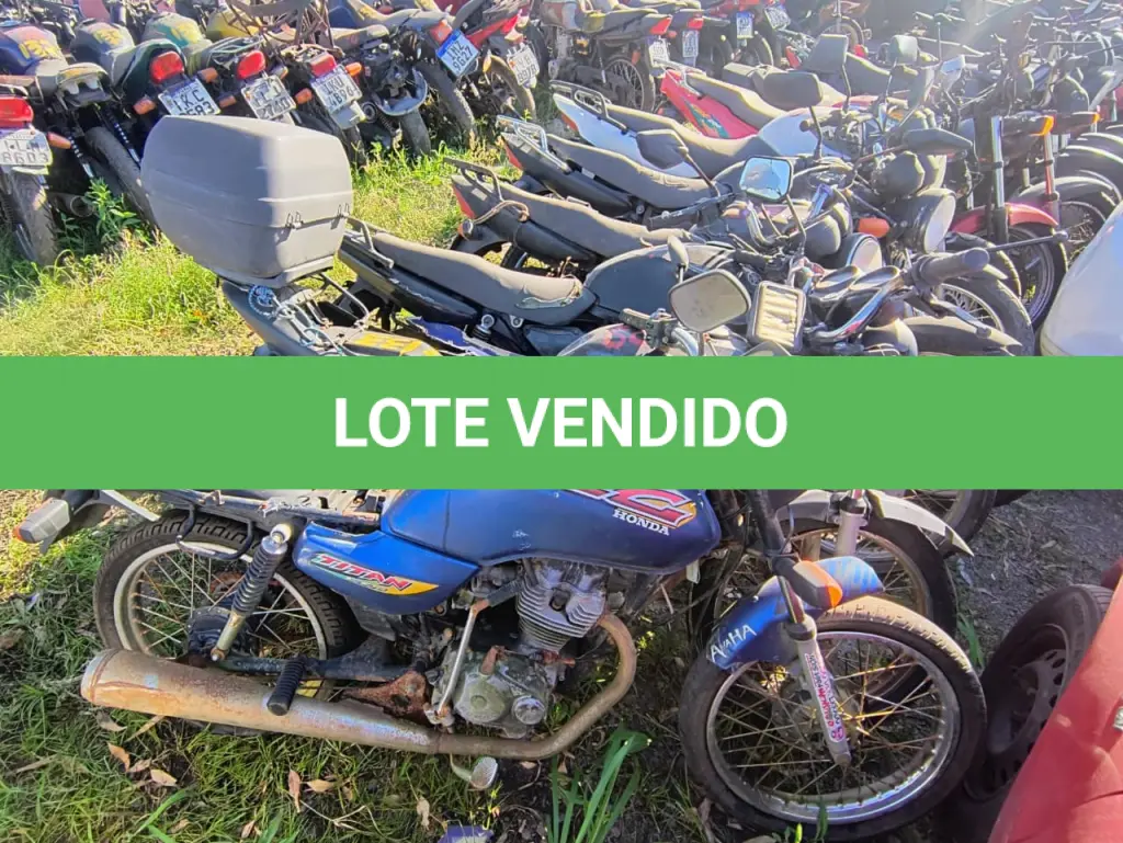 LOTE 0133