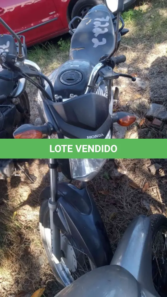 LOTE 0332