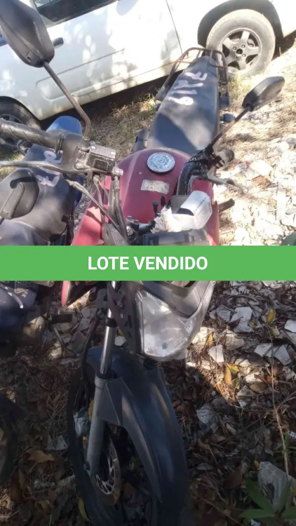 LOTE 0331