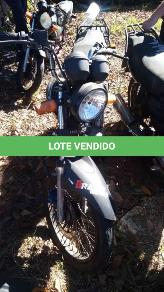LOTE 0334