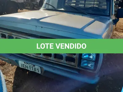 LOTE 015 - VEICULO CAMIONETA, FORD F 1000, ANO/MOD:1988, PLACA:IEN-1181, COR: PRATA, CAHSSI:9BFEXXL33JDB70128. NO ESTADO QUE SE ENCONTRA. PATRIMÔNIO MUNICIPAL Nº7536.