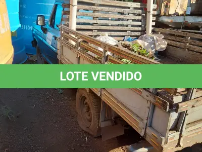 LOTE 015 - VEICULO CAMIONETA, FORD F 1000, ANO/MOD:1988, PLACA:IEN-1181, COR: PRATA, CAHSSI:9BFEXXL33JDB70128. NO ESTADO QUE SE ENCONTRA. PATRIMÔNIO MUNICIPAL Nº7536.