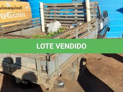 LOTE 015 - VEICULO CAMIONETA, FORD F 1000, ANO/MOD:1988, PLACA:IEN-1181, COR: PRATA, CAHSSI:9BFEXXL33JDB70128. NO ESTADO QUE SE ENCONTRA. PATRIMÔNIO MUNICIPAL Nº7536.