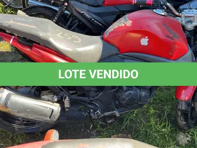 LOTE 0259 - 0259