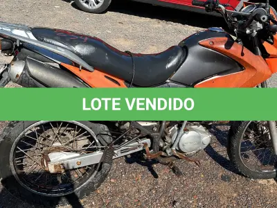 LOTE 0234 - 0234
