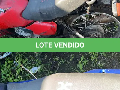 LOTE 0248 - 0248