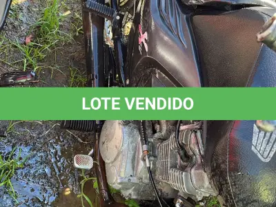 LOTE 0256 - 0256