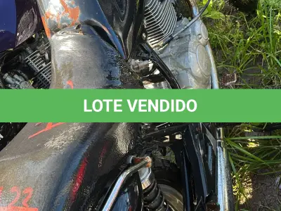 LOTE 0244 - 0244