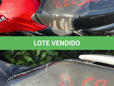 LOTE 0273 - 0273