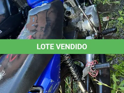 LOTE 0268 - 0268