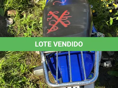 LOTE 0264 - 0264