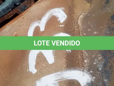 LOTE 0008 - 0008