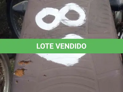 LOTE 0001 - 0001