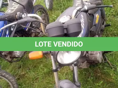 LOTE 0091 - 0091