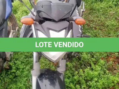 LOTE 0100 - 0100