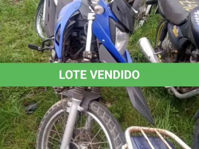LOTE 0076 - 0076