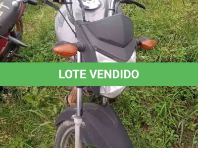 LOTE 0096 - 0096