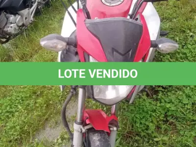 LOTE 0101 - 0101