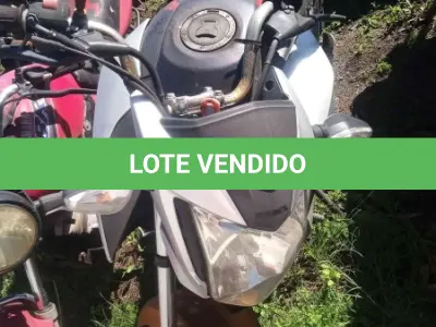 LOTE 0153 - 0153