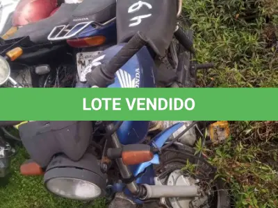 LOTE 0185 - 0185