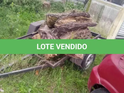 LOTE 0141 - 0141