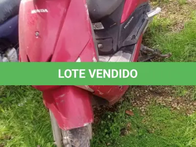 LOTE 0195 - 0195