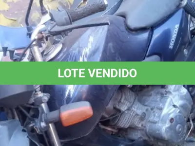 LOTE 0239 - 0239
