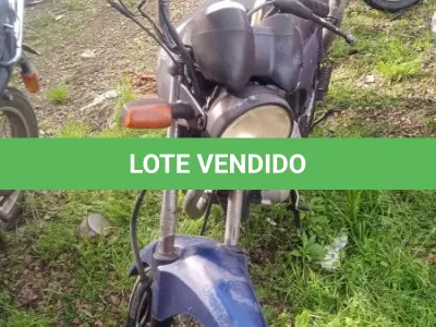 LOTE 0191 - 0191