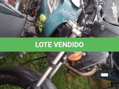 LOTE 0207 - 0207