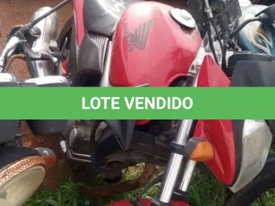 LOTE 0205 - 0205