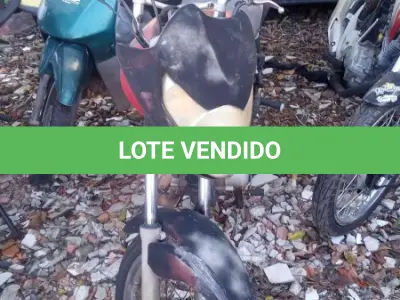 LOTE 0311 - 0311