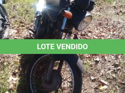 LOTE 0317 - 0317