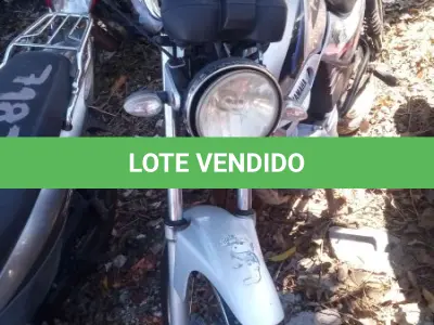 LOTE 0310 - 0310