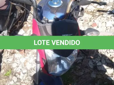 LOTE 0338 - 0338