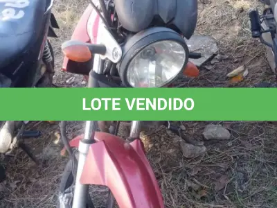 LOTE 0343 - 0343