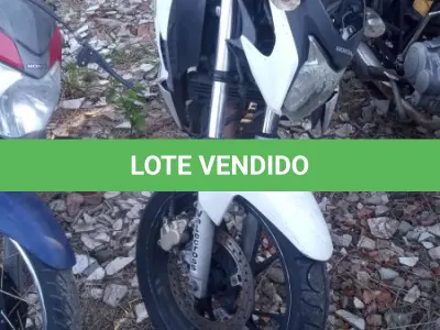 LOTE 0333 - 0333