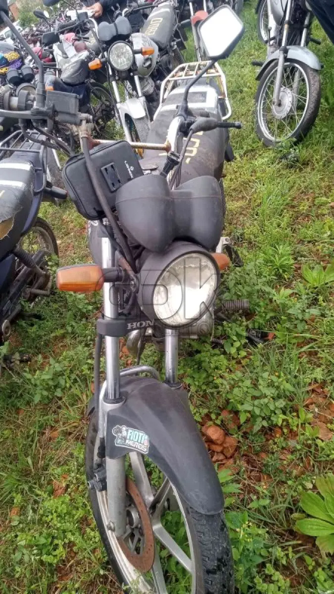 LOTE 0081