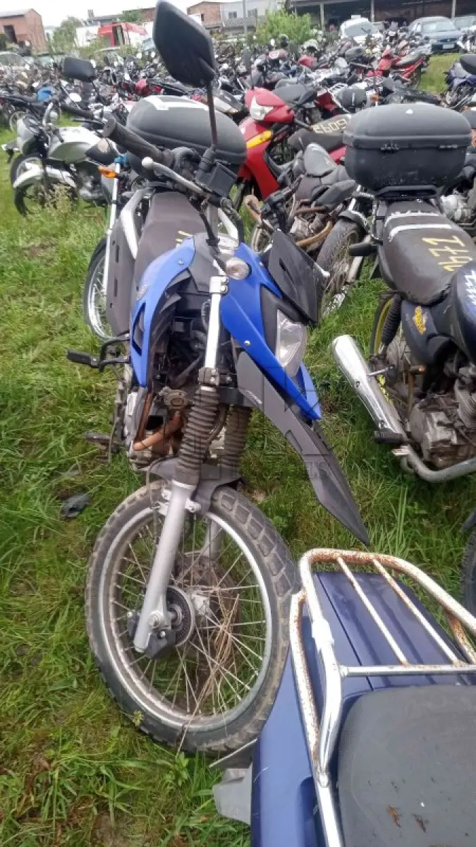 LOTE 0076