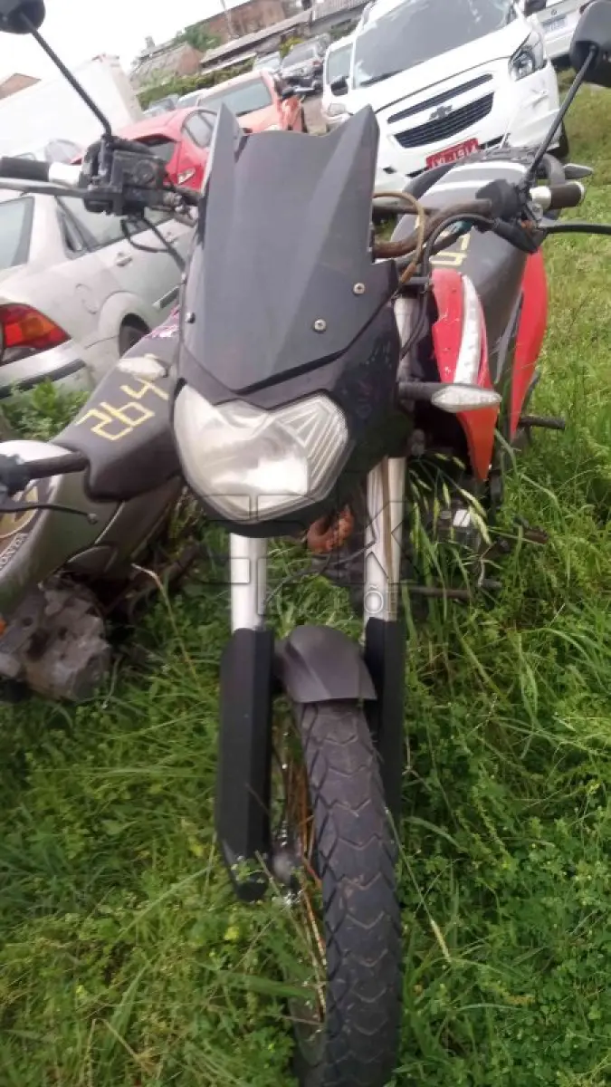 LOTE 0095