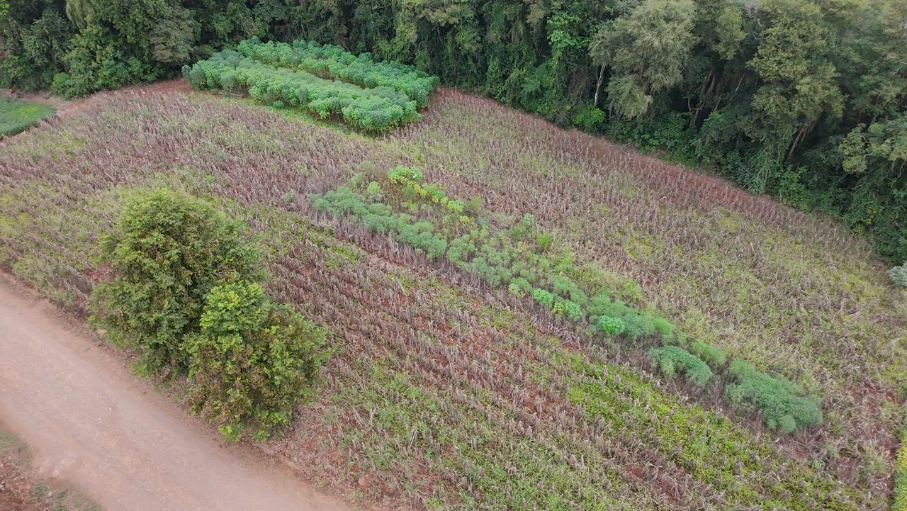 Imagem do imóvel Imóvel: Fração Do Lote Rural Nº 38, 25ª Secção, Matrícula Nº 1679.  Área Total: 0,3 Hectares (3.000 M²) Conforme Matrícula. Localização: Barra Do Machado - Interior – Novo Machado/rs – E.m General Ben