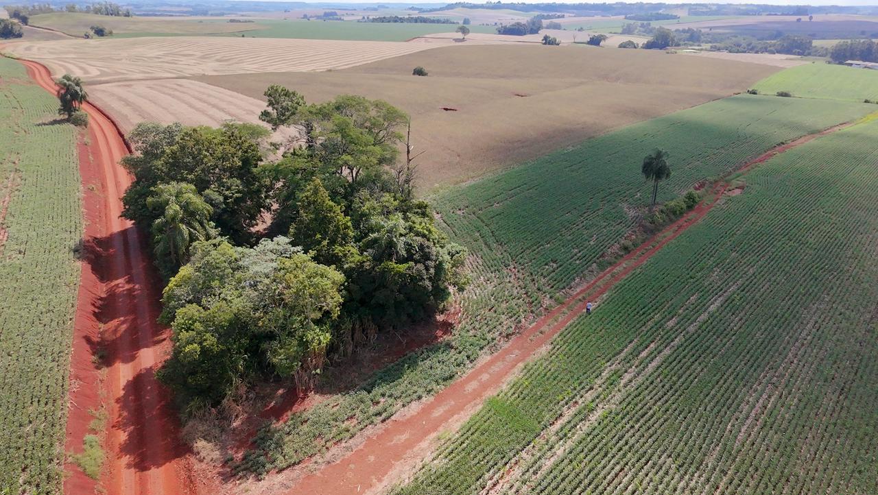 Imagem do imóvel Imóvel: Fração Do Lote Rural Nº 24, 11ª Secção, Matrícula Nº 3048.  Área Total: 1,0 Hectares (10.000 M²) Conforme Matrícula. Localização: Lajeado Gateados - Interior – Novo Machado/rs – E.m De 1º G. I